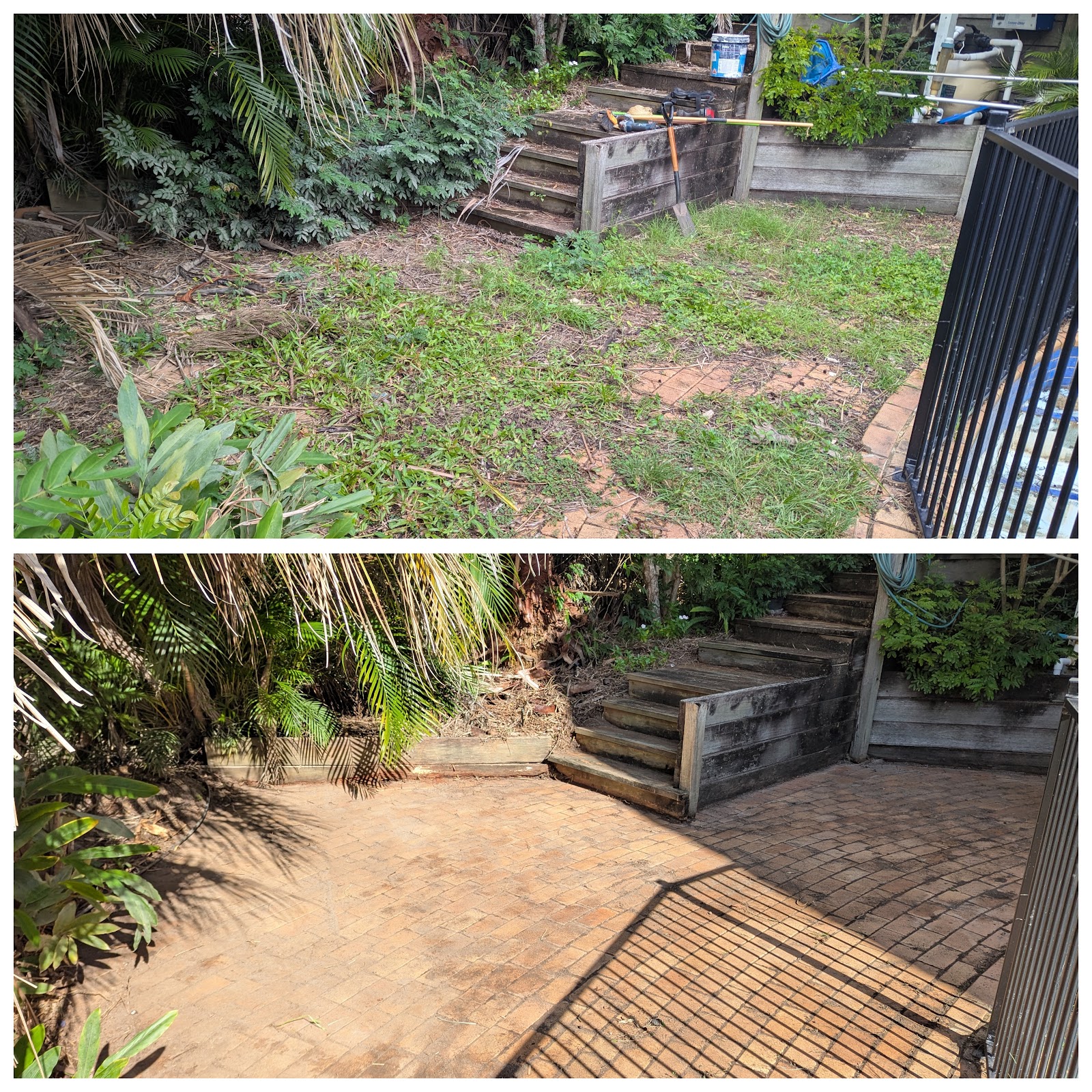 An overgrown courtyard with timber steps, then the same courtyard cleared back to clean brick paving