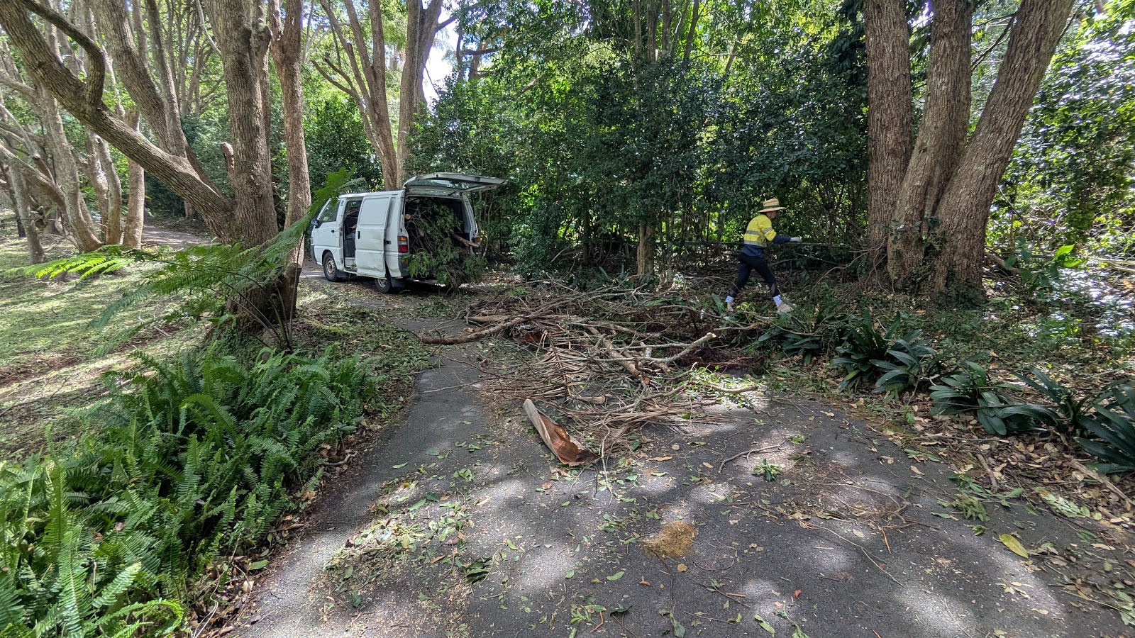 White van parked on a leafy driveway while cut branches are cleared