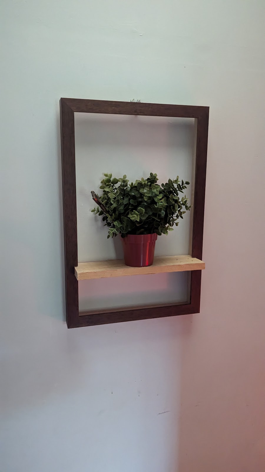 Dark timber floating frame shelf holding a potted plant, mounted on a white wall